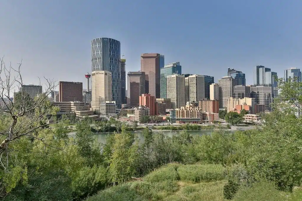 Calgary Condos Daily Market Watch and Statistics Report from Calgary Realtor Jerry Charlton